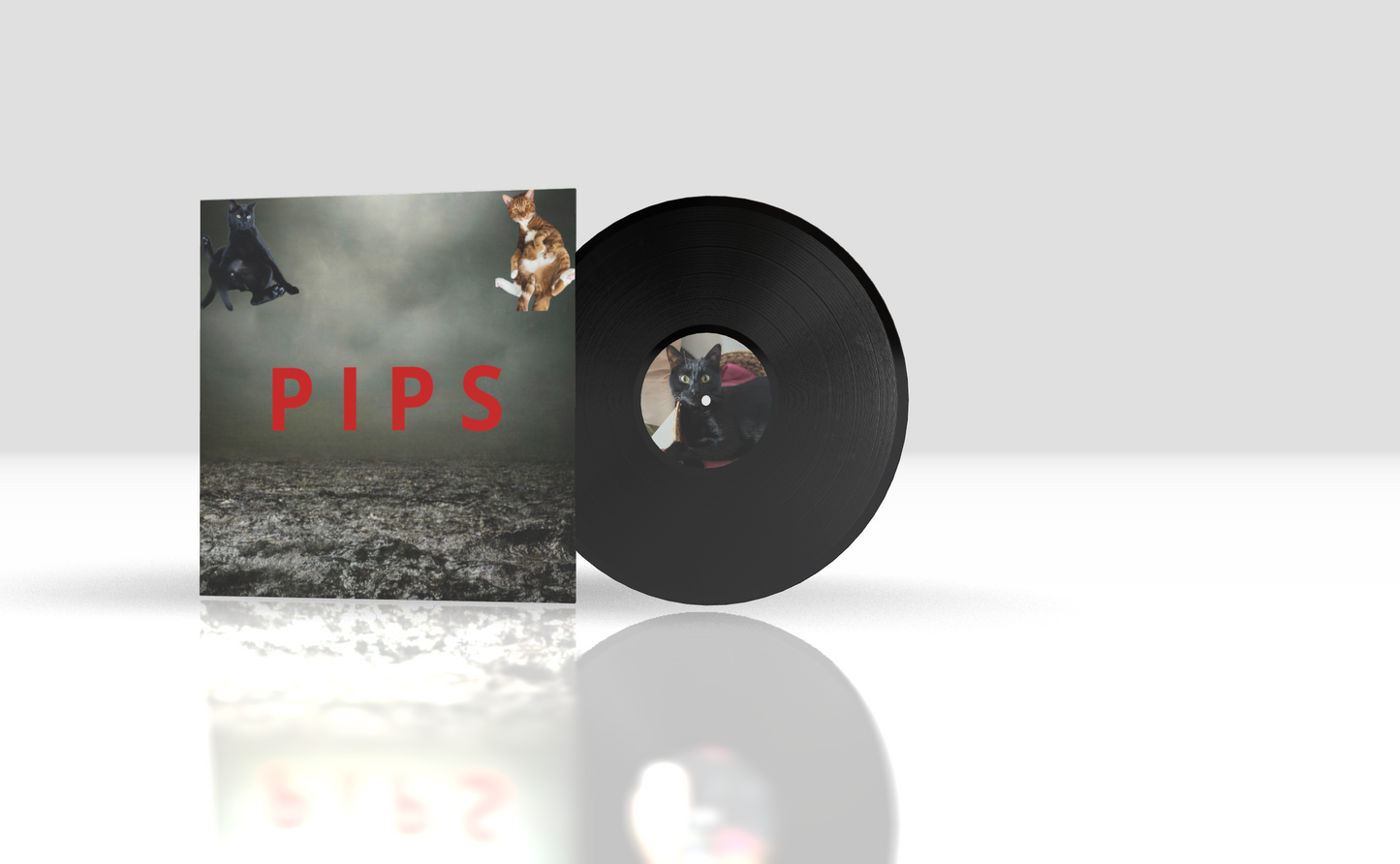 Round + 12" Scratch + Standard Black + Cover