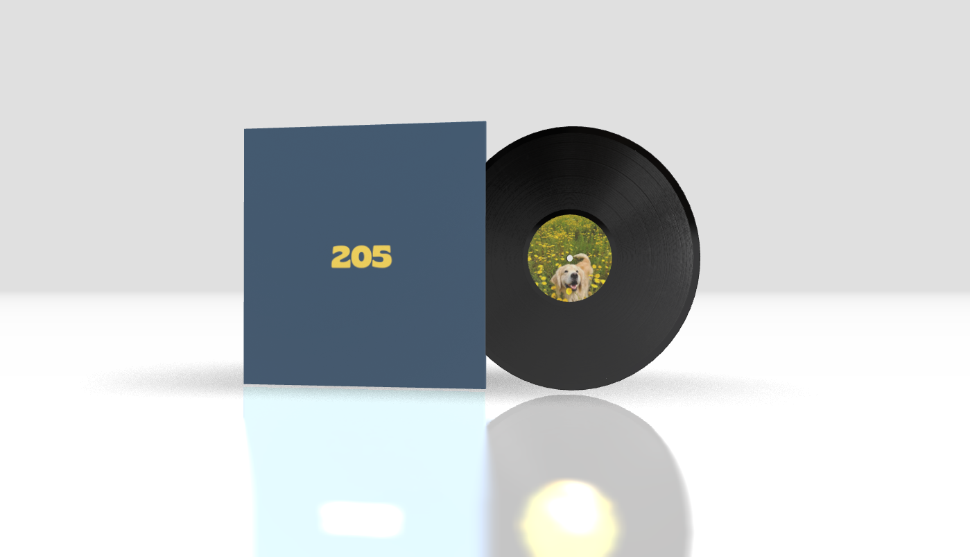 Round + 12" Xtra + Standard Black + Cover