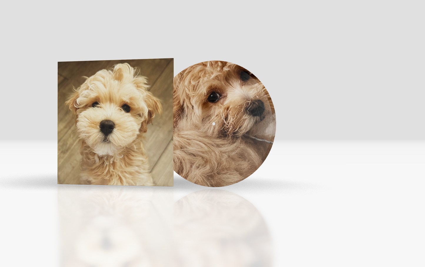 Round + 12" Xtra + Picture disc + Cover