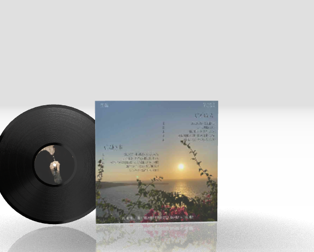 Round + 12" Original + Standard Black + Cover