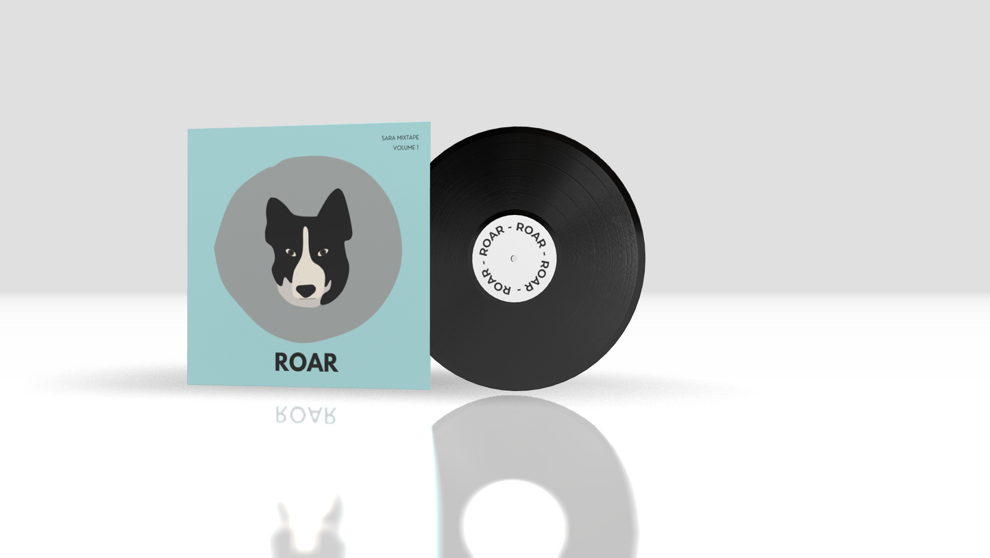 Round + 12" Scratch + Standard Black + Cover