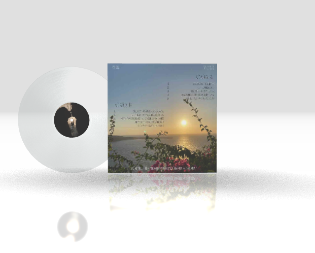 Round + 12" Original + Standard Transparent + Cover